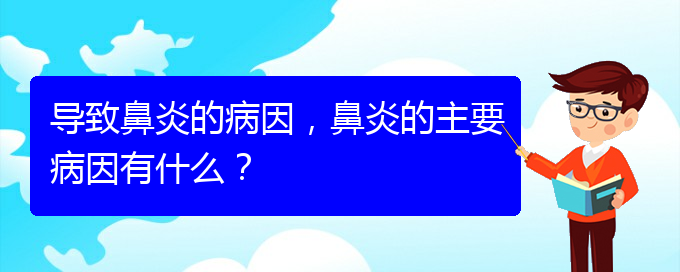 (貴陽(yáng)過敏性鼻炎怎么治療好)導(dǎo)致鼻炎的病因，鼻炎的主要病因有什么？(圖1)