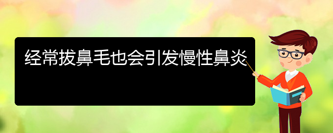 (貴陽治療慢性鼻炎哪個(gè)醫(yī)院)經(jīng)常拔鼻毛也會(huì)引發(fā)慢性鼻炎(圖1)