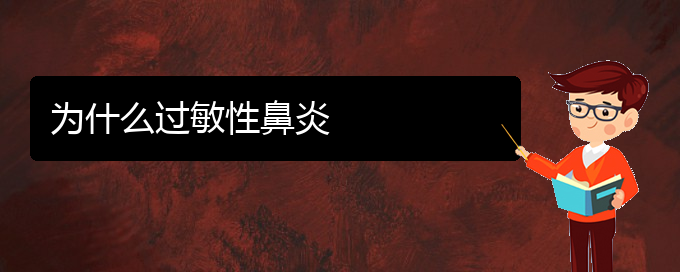 (貴州治過敏性鼻炎?？漆t(yī)院)為什么過敏性鼻炎(圖1)