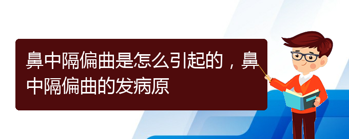 (貴陽一般看鼻中隔偏曲多少錢)鼻中隔偏曲是怎么引起的，鼻中隔偏曲的發(fā)病原(圖1)