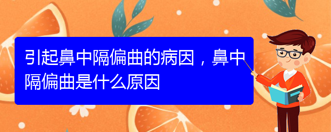 (貴陽(yáng)比較好的治療鼻中隔偏曲的醫(yī)院)引起鼻中隔偏曲的病因，鼻中隔偏曲是什么原因(圖1)