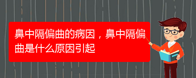 (貴陽治療鼻中隔偏曲醫(yī)院)鼻中隔偏曲的病因，鼻中隔偏曲是什么原因引起(圖1)