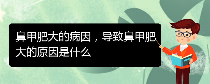 (貴陽治療鼻甲肥大正規(guī)的醫(yī)院)鼻甲肥大的病因，導致鼻甲肥大的原因是什么(圖1)