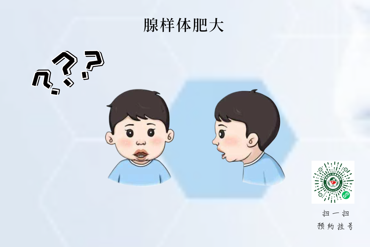 腺樣體肥大影響身高？生長激素的真相(圖2)